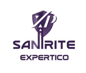 Expertico Logo 1 e1692614274265 1024x875 1
