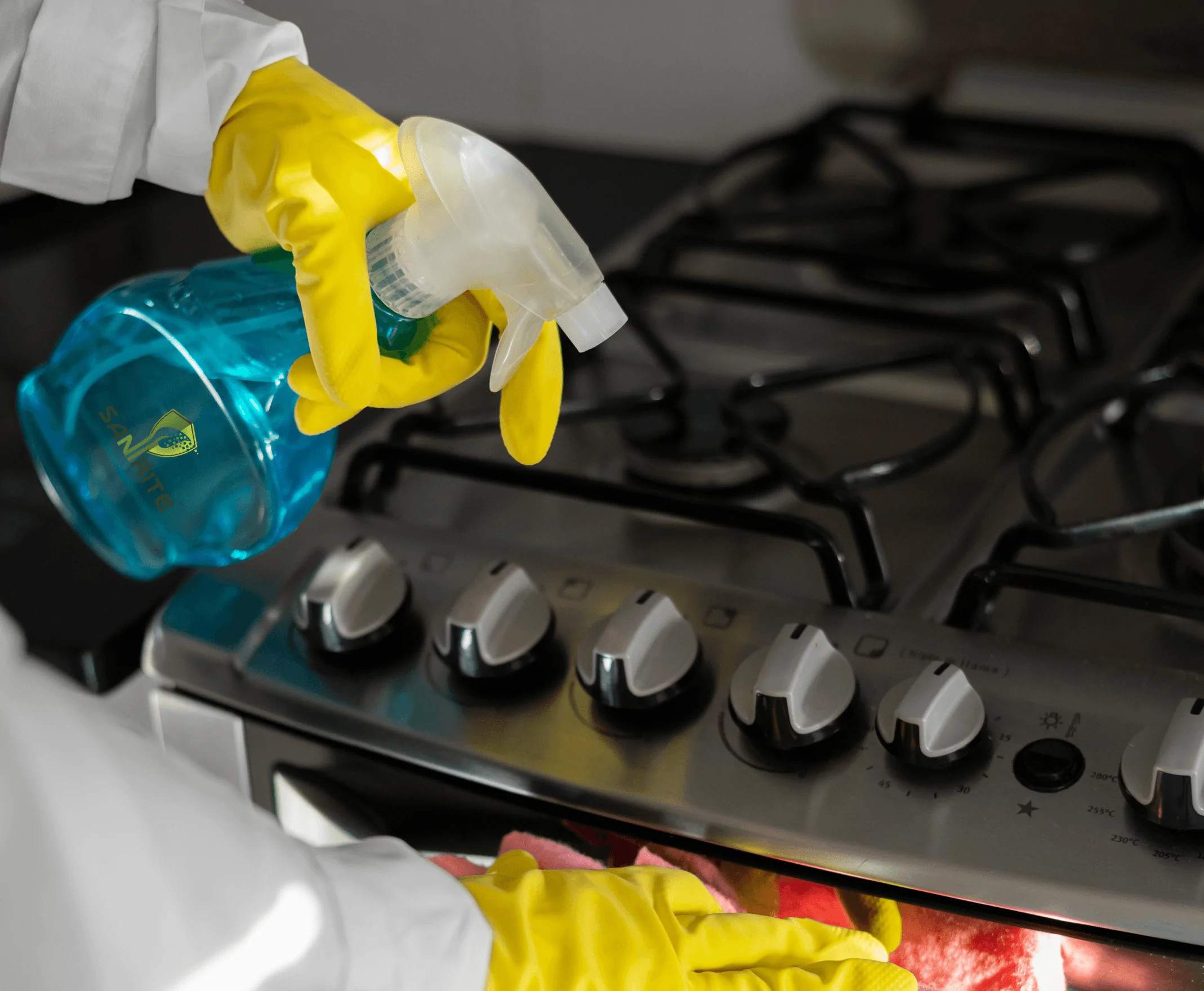 Home 17 Sanirite Kitchen Care Solution