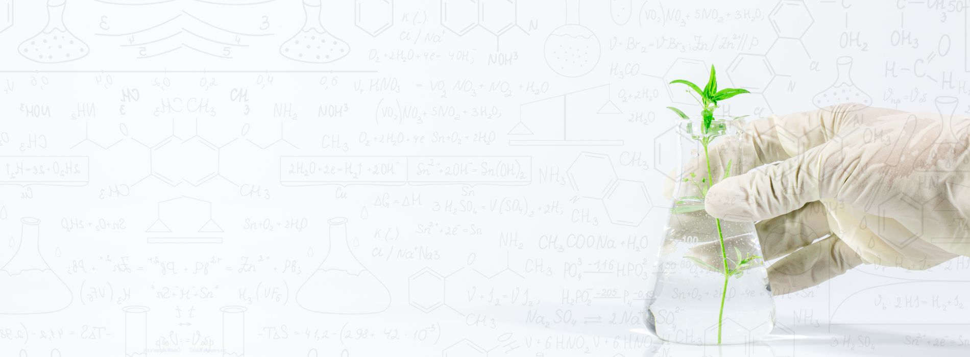 Home 8 sanirite banner updated blank